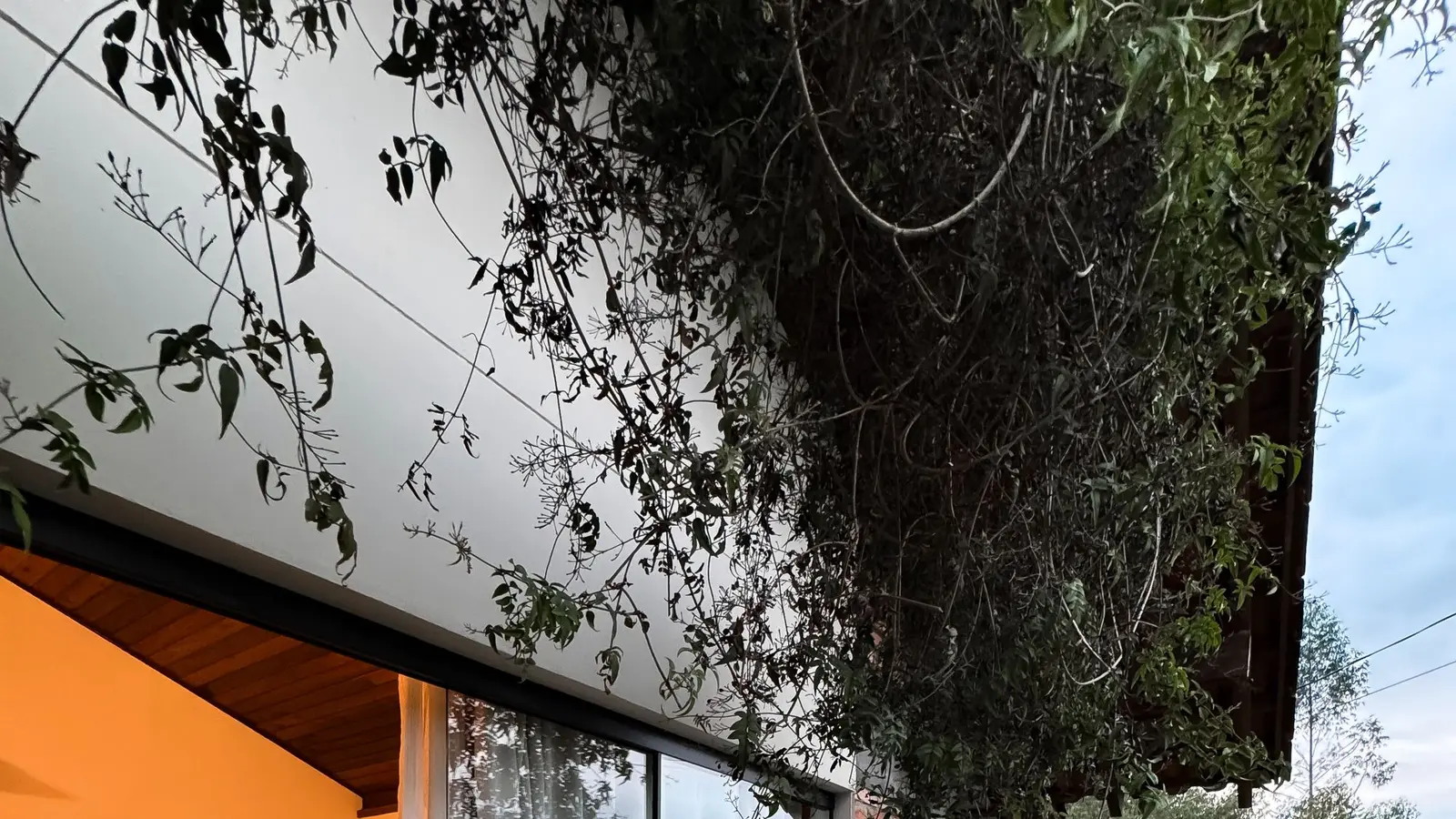 Wood deck running past a sliding door on a brick house